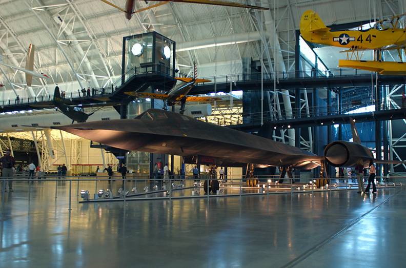 Blackbird in Museum