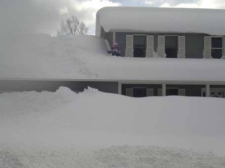 /images/blizzard/548A228A1B524564BA6262C0486174B1.jpg