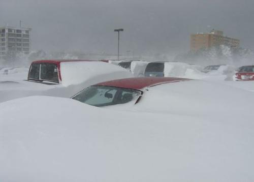 /images/blizzard/6011E756048D4047A113C091EB5E6ABD.jpg